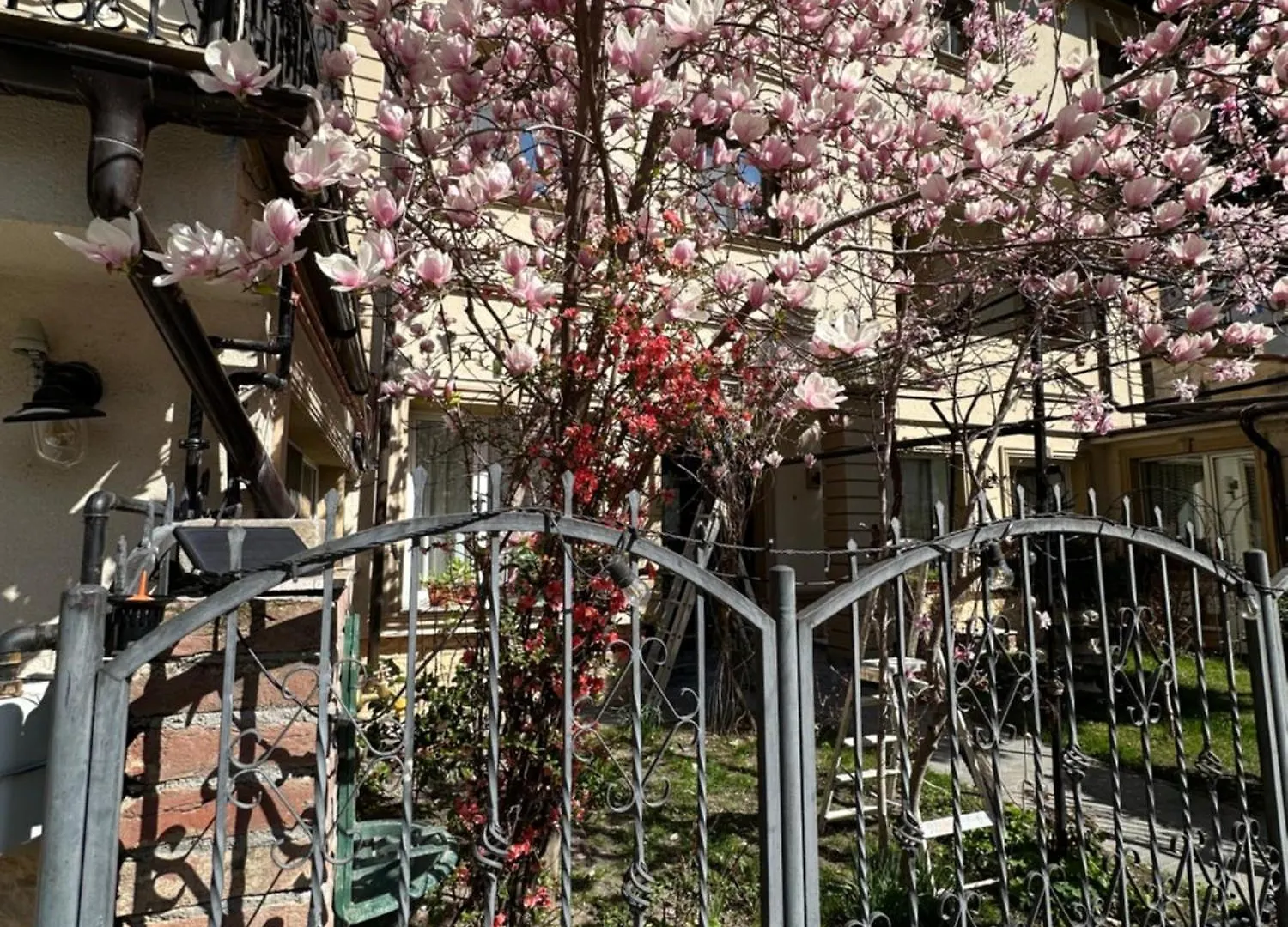 Hotel Boutique Cathedral Plaza Residences Room For Rent Downtown Bucharest